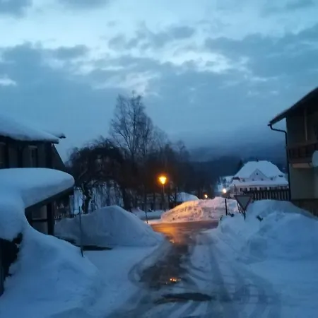 Apartment Haus Haidweg - In Im Dreilaendereck De-cz-at Haidmuhle